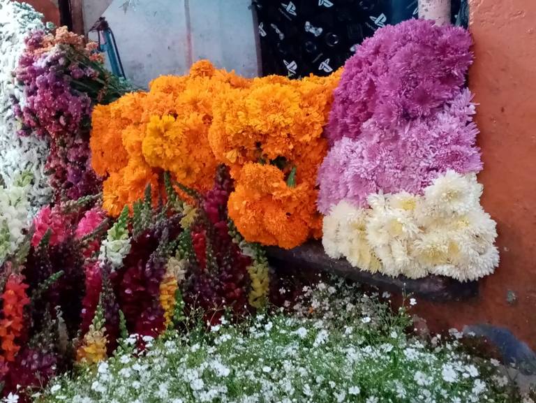 Por qué la flor de cempasúchil mexicana compite contra la china? - El Sol  de Orizaba | Noticias Locales, Policiacas, sobre México, Veracruz y el Mundo