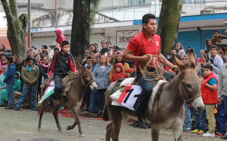Realizan carrera de burros - El Sol de Orizaba | Noticias Locales,  Policiacas, sobre México, Veracruz y el Mundo