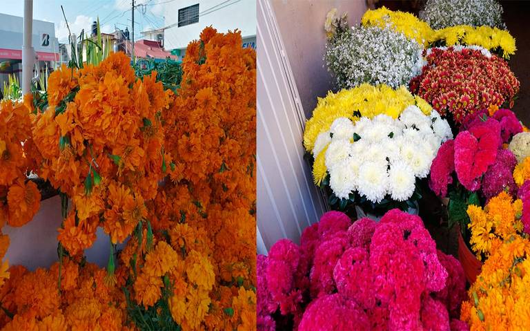 Sin repuntar venta de flores en último Día de Muertos: Floristas de Orizaba  denuncian competencia desleal - El Sol de Orizaba | Noticias Locales,  Policiacas, sobre México, Veracruz y el Mundo